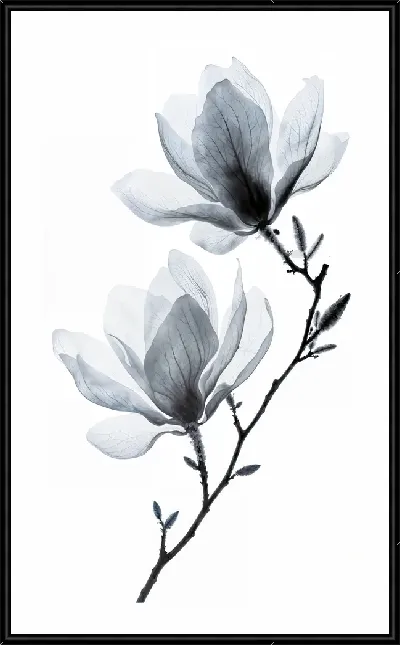 Картина Полупрозрачный черный цветок №14