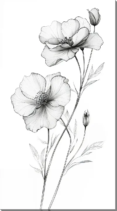 Постер Полупрозрачный черный цветок №15