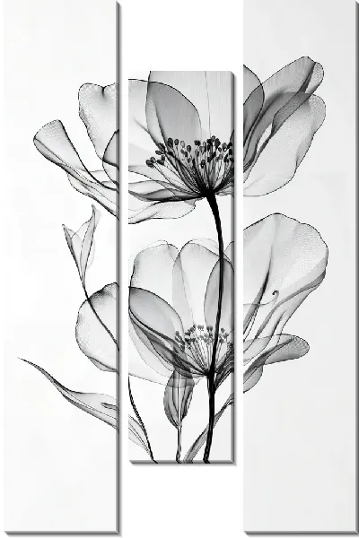 Модульная картина Полупрозрачный черный цветок №23