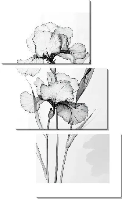 Модульная картина Полупрозрачный черный цветок №26