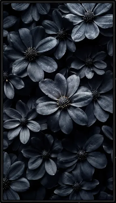 Картина Черный цветок №32