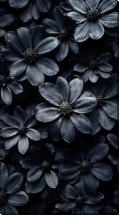 Постер Черный цветок №32