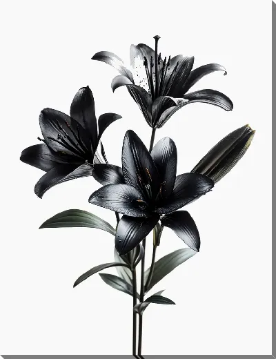 Картина маслом Черный цветок №33