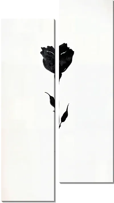 Модульная картина Черный цветок №34