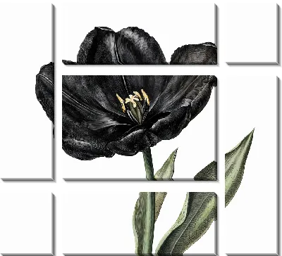Модульная картина Черный цветок №38