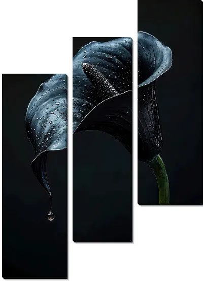 Модульная картина Черный цветок №45