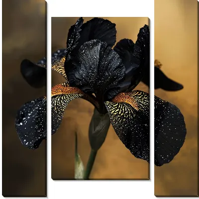 Черный цветок №46