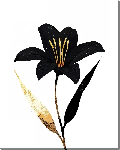 Постер Черный цветок №50