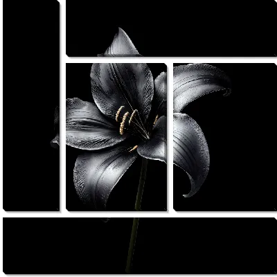 Модульная картина Черный цветок №53
