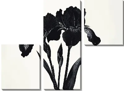 Модульная картина Черный цветок №55
