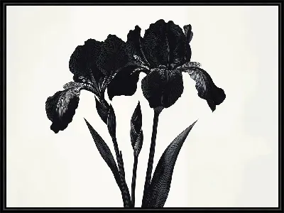 Картина Черный цветок №55