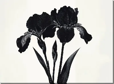 Картина маслом Черный цветок №55