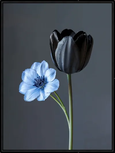 Картина Черный цветок №57