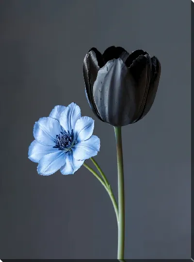Постер Черный цветок №57