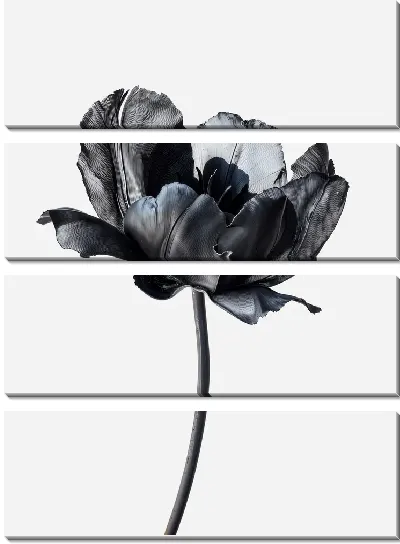 Модульная картина Черный цветок №58