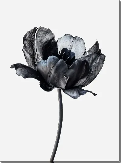 Картина маслом Черный цветок №58