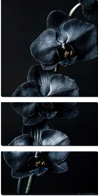 Модульная картина Черный цветок №59