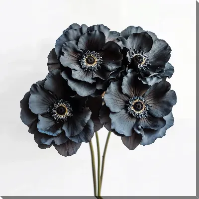 Картина маслом Черный цветок №60