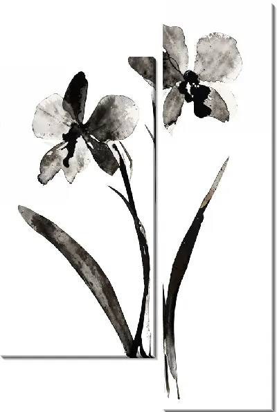 Модульная картина Черный цветок №62