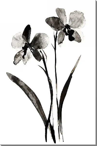 Картина маслом Черный цветок №62