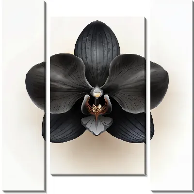 Модульная картина Черный цветок №65