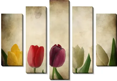 Модульная картина Тюльпаны (Tulips) №4