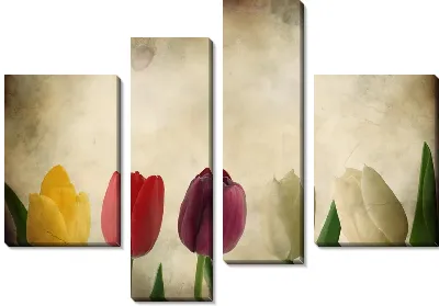 Модульная картина Тюльпаны (Tulips) №4