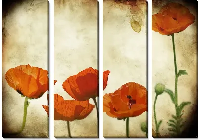 Модульная картина Маки (Poppies) №6