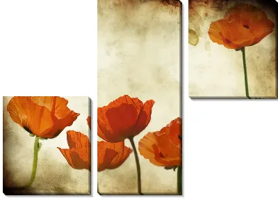 Модульная картина Маки (Poppies) №6