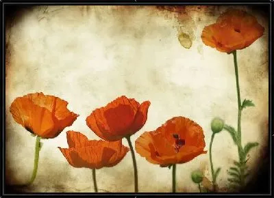 Картина Маки (Poppies) №6