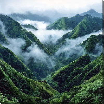 Картина маслом Туман в горах №7