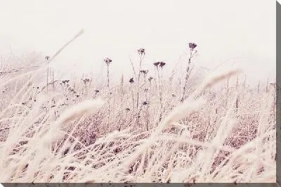 Постер Поле (Field) №5