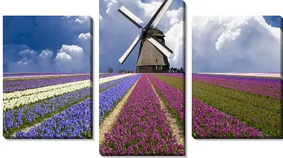 Модульная картина Мельница (Mill) №18