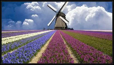 Мельница (Mill) №18