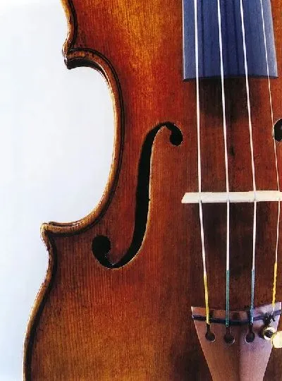 Плакат Скрипка (Violin)