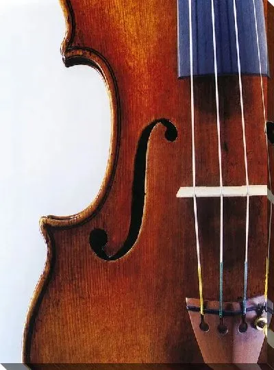 Постер Скрипка (Violin)