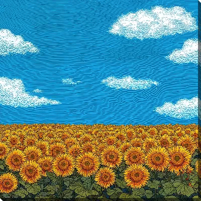Картина маслом Облака над подсолнухами