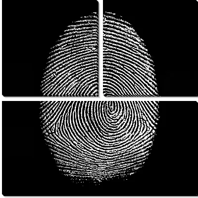 Модульная картина Отпечаток пальца №1