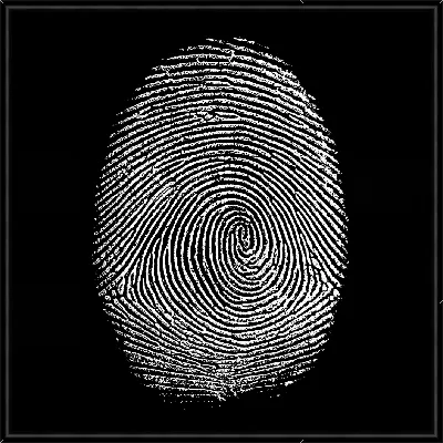 Отпечаток пальца №1