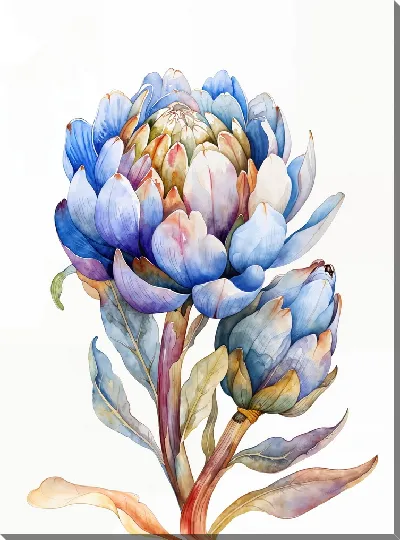 Постер Артишок №1