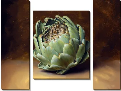 Модульная картина Зеленый артишок