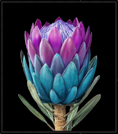 Картина Артишок №8