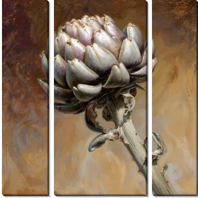 Модульная картина Артишок №15