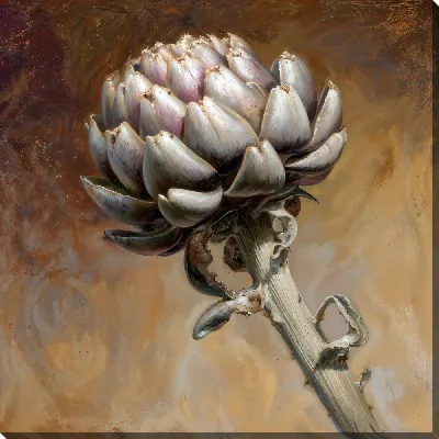 Артишок №15