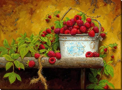 Малина в ведре