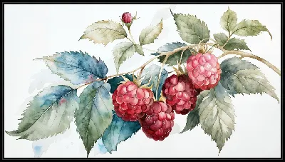 Картина Малина на ветке