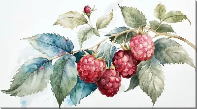 Картина маслом Малина на ветке