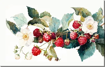 Постер Малина на ветке с цветами