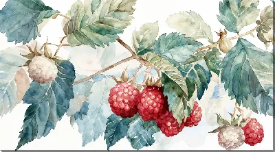 Картина маслом Малина №27