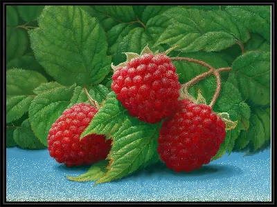 Картина Малина №28